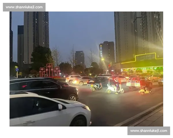 现场直击城市交通高峰期市民出行体验与应对策略分析 现场直击城市交通高峰期市民出行体验与应对策略分析